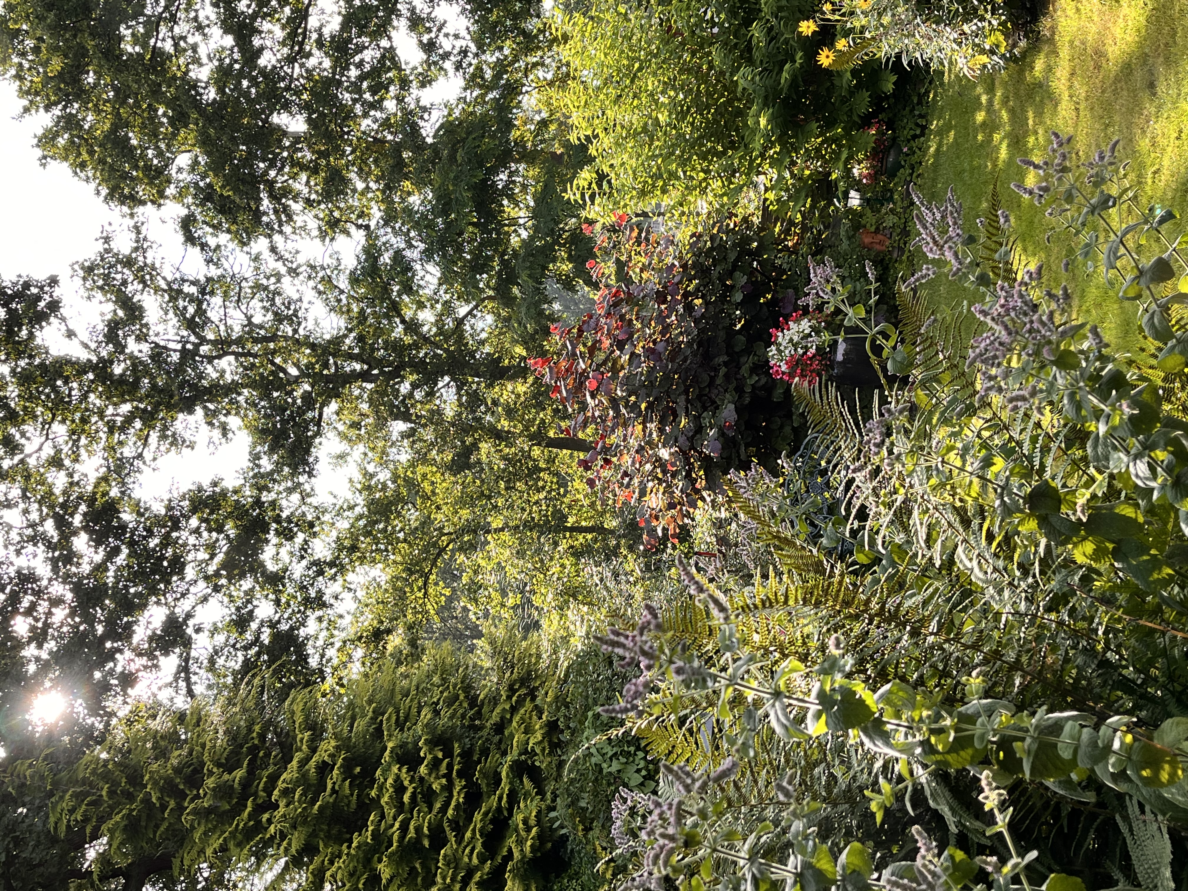 Gemaltes Bild mit verschiedenen Gemüsesorten, die vor einem grünen Hintergrund liegen. Am oberen linken Bildrand sind Fischsiluetten aufgeklebt. Zu sehen sind u.a. Aubegine, Kürbis, eine aufgeschnittene Melone, eine Parika, eine Tomate, eine Gurke, Chili, Pilz